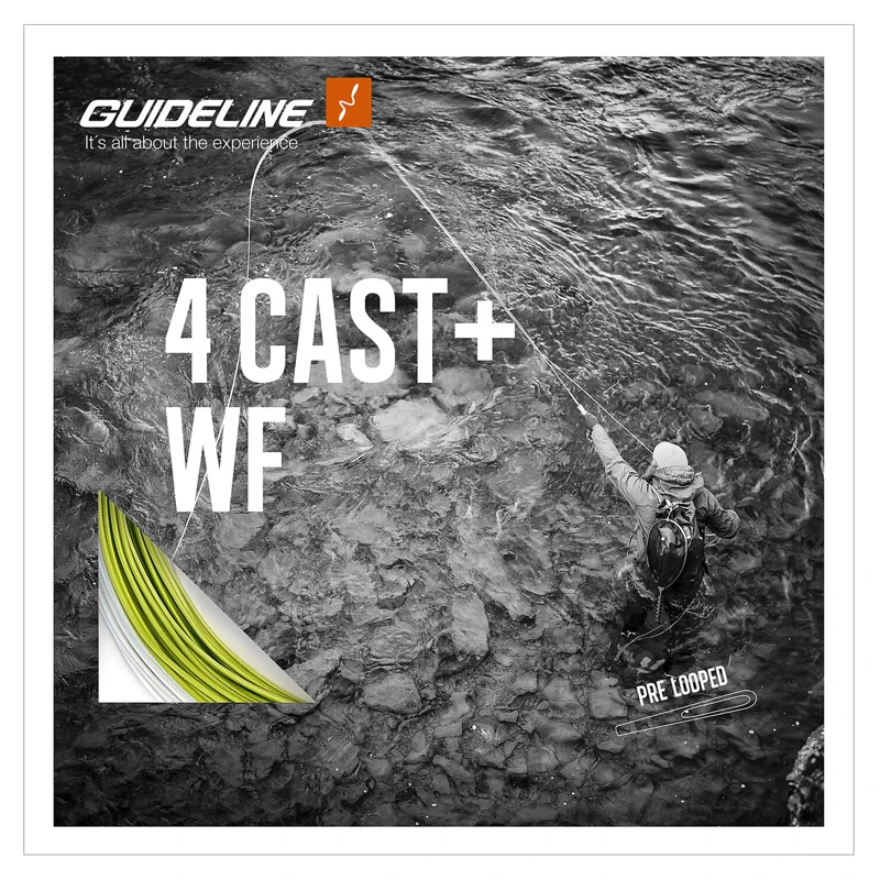 Guideline 4 Cast+ WF 3 Guideline 4 Cast+ WF