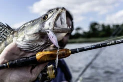 Quantum 4Street Spin-Jig 14g -Fanggerätelager 22 3494304r 3