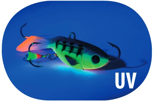 Alpina Glider 4 Alpina Glider – Bild 2