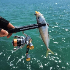 Gomexus 20mm CNC Aluminium Power Knob -Fanggerätelager A20TNGDr 3