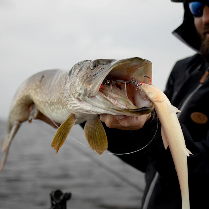 BKK BB Trigger-21 UVO Stinger 4 BKK BB Trigger-21 UVO Stinger – Bild 2