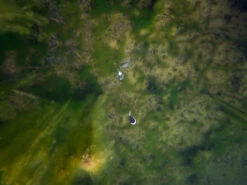 Fox Edges Zig Float Kit 11 Fox Edges Zig Float Kit -Fanggerätelager CAC753 6