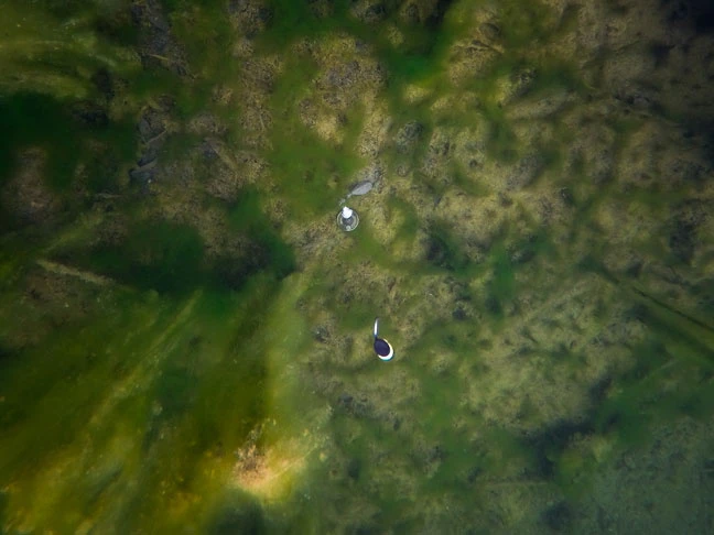 Fox Edges Zig Float Kit 6 Fox Edges Zig Float Kit – Bild 4