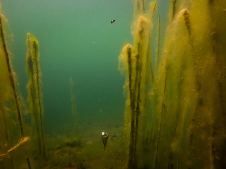 Fox Edges Zig Float Kit 7 Fox Edges Zig Float Kit – Bild 5