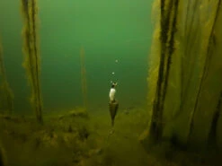 Fox Edges Zig Float Kit 13 Fox Edges Zig Float Kit -Fanggerätelager CAC753 8