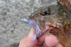 Decoy SN-1 Round Snap -Fanggerätelager DSN10r 5