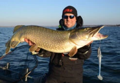 Eastfield Wingman 21cm, 80g -Fanggerätelager EFLW001r 4