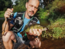Perch Professor Fluky Shad 5,5cm (6pcs) -Fanggerätelager FS556P Or 3