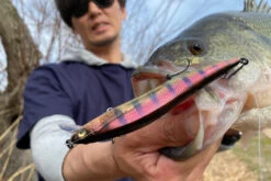 Megabass Vision Oneten LBO -Fanggerätelager MB VOLBO 4513473451171r 3