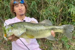 Megabass Vibration-X Dyna (Rattle In) -Fanggerätelager MB VXDR 4513473465505r 3