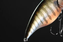 Megabass New Vibration-X Jr (Rattle In) -Fanggerätelager MB VXJ 4513473334177r 3