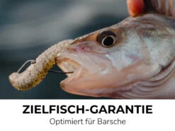 Jaeger Phox 7,6cm (8pcs) -Fanggerätelager PRC PHO 06 1r 5