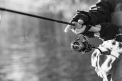 Shimano Stella FK -Fanggerätelager STL1000FKr 5