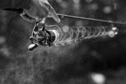 Shimano Stella FK -Fanggerätelager STL1000FKr 6