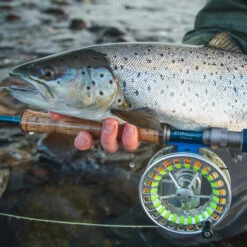 Vision Stifu Flyrod -Fanggerätelager VFU4967r 3