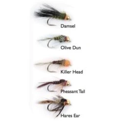 Goldheads Short Shank 5-pack